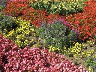 20100923130240.JPG