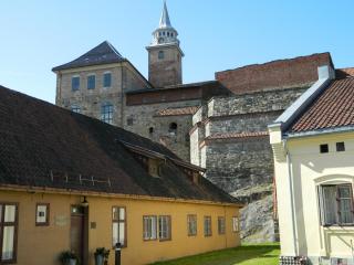 20130823152532.JPG