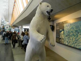20130820124730.JPG