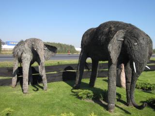 20100924132134.JPG