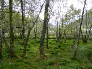 DSCN3737.JPG