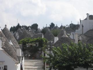 20100915140920.JPG