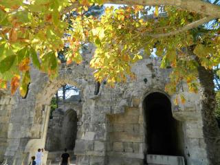 20111004164752.JPG