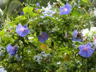 20110924163646.JPG