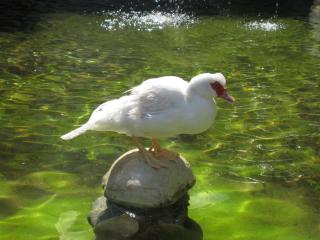 20100920122830.JPG