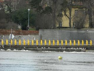 20130102161120.JPG