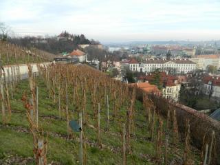 20130101161048.JPG