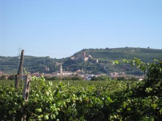 20100911124208.JPG