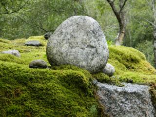 20130819173332.JPG