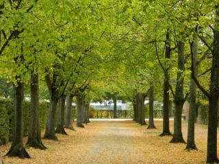 20111006144328.JPG