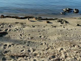 20130823100822.JPG