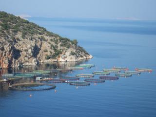 20100917163238.JPG