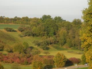 20111006103944.JPG