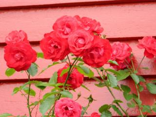 20130821174600.JPG