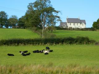 DSCN4069.JPG