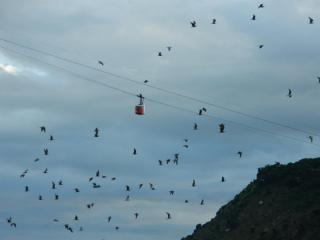 20110924203250.JPG