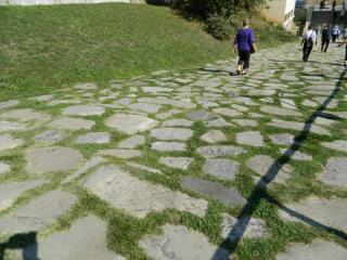 20110923170730.JPG