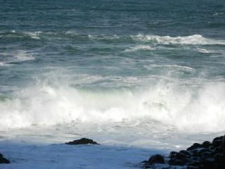 DSCN4645.JPG