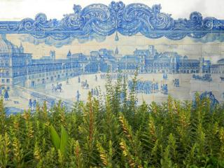 20110930124508.JPG