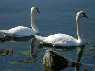 20130822132414.JPG