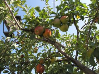 20100917142040.JPG