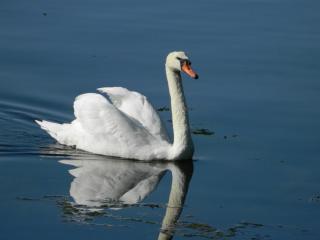 20130822130114.JPG