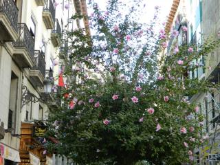 20110926130110.JPG