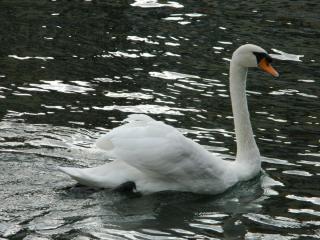 20111005184930.JPG