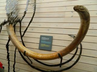 20130820124832.JPG