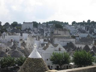 20100915141230.JPG