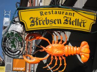 20100923114246.JPG