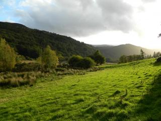 DSCN3724.JPG