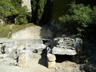 20111004162440.JPG