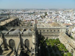 20110929143342.JPG