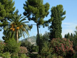 20110928125056.JPG