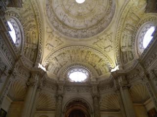 20110929142204.JPG