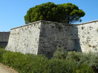 20111004161930.JPG