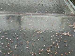 20130819124830.JPG