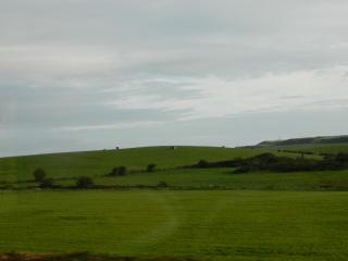 DSCN4548.JPG