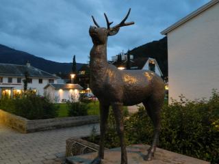 20130819235144.JPG