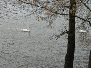 20130102161246.JPG