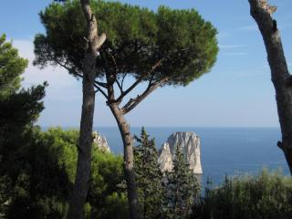 20100914164428.JPG