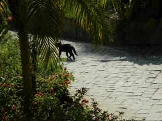 20110930183306.JPG