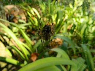 20110930191404.JPG