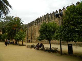 20110928184156.JPG