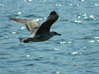 20111002180120.JPG