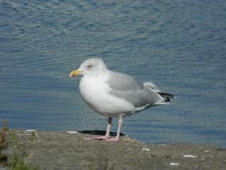 DSCN2868.JPG