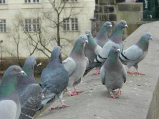 20130104152050.JPG