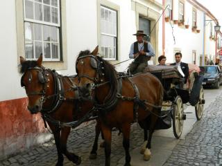 20111001145344.JPG