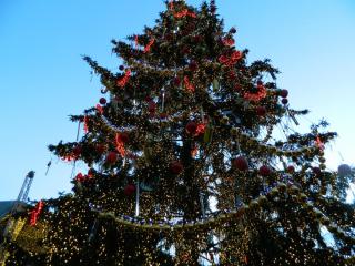 20121231191744.JPG